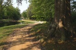 Het resultaat een gestabiliseerd pad met een natuurlijke uitstraling Het resultaat is een gestabiliseerd pad met een natuurlijke uitstraling